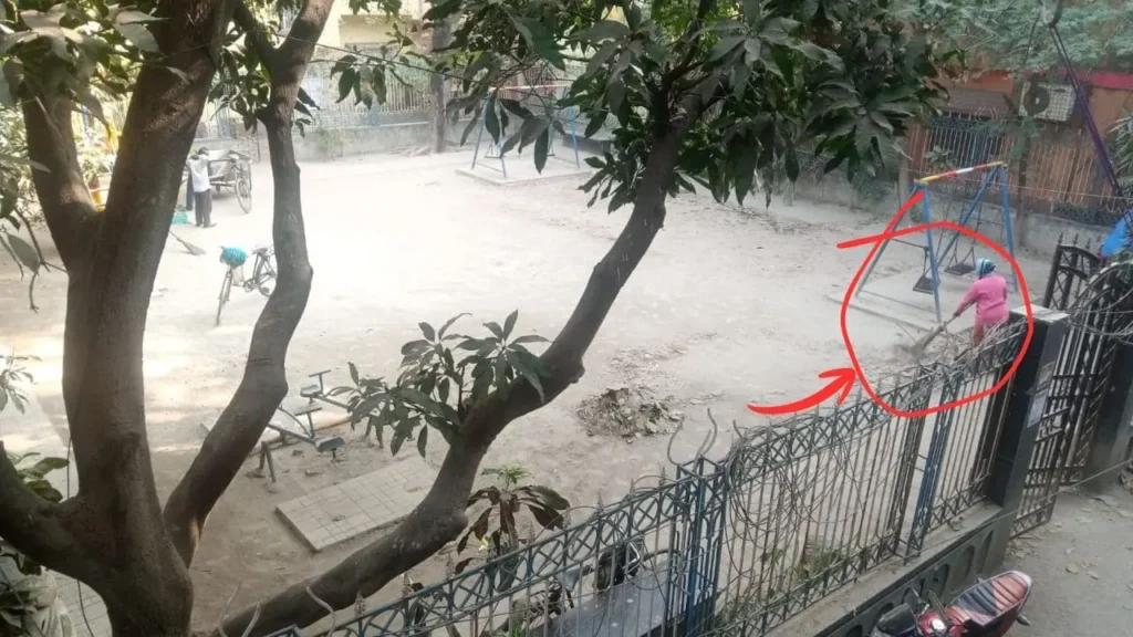 মাঠের ঘাসকে আবর্জনা ভাবার ফল এটাই!